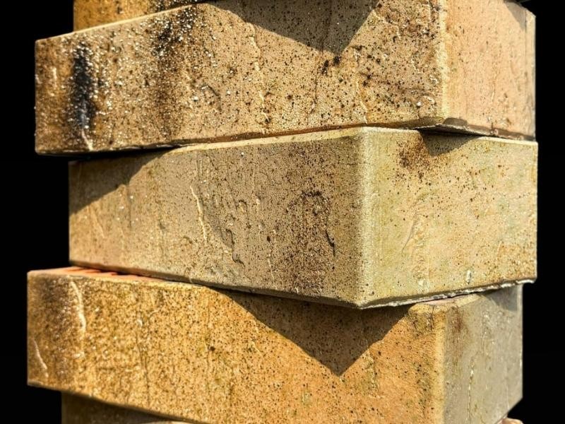 BRAER PRO 3.03 1НФ купить в Минске — БелАртДом