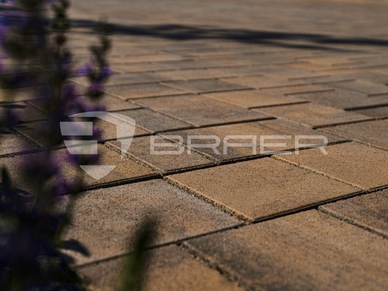 Старый город Ландхаус Color Mix Каштан, h=80 мм купить в Минске — БелАртДом