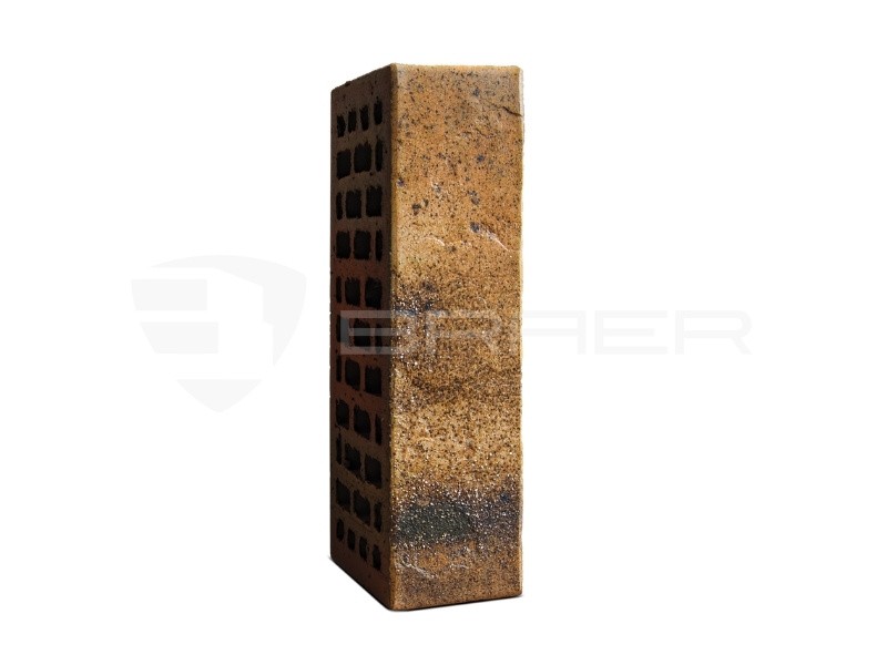 BRAER PRO 3.03 1НФ