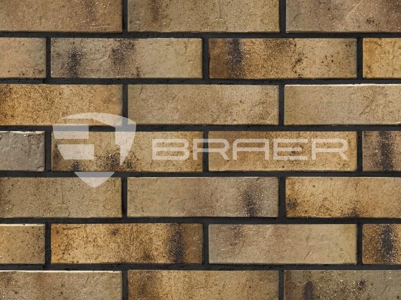 BRAER PRO 3.03 1НФ купить в Минске — БелАртДом