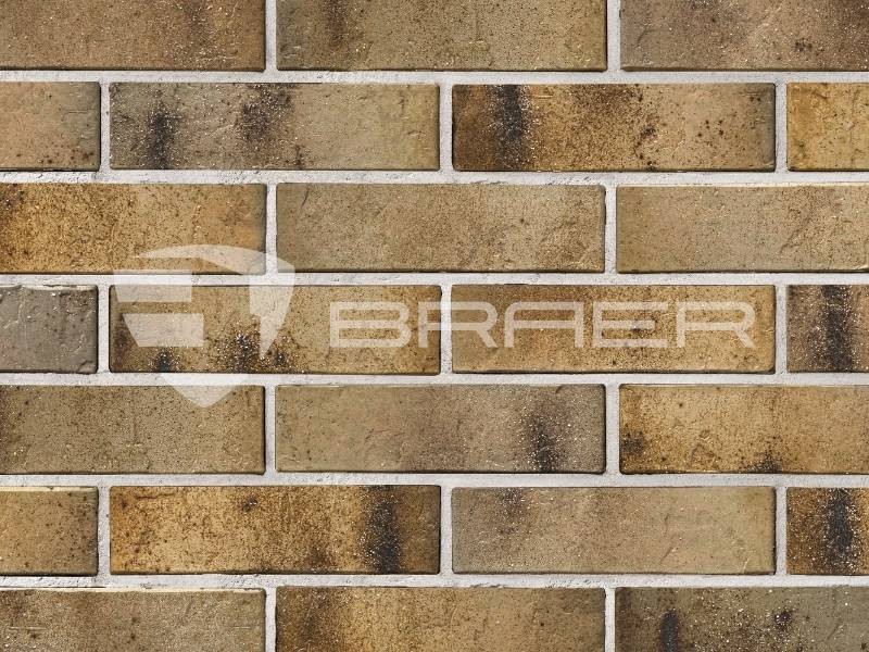 BRAER PRO 3.03 1НФ купить в Минске — БелАртДом